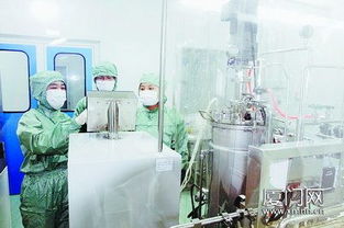 海沧台商投资区生物医药产业崛起 以生物技术研发为引擎的全球新标杆